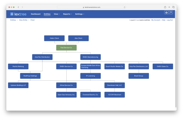Example ownership chart
